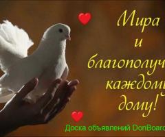 ГОЛУБИ разных пород